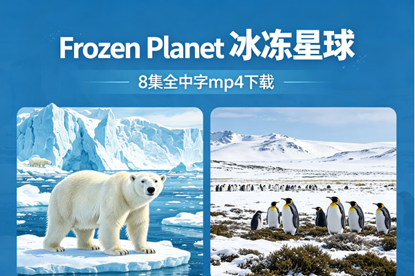 《frozen Planet 冰冻星球》8集全中字mp4下载